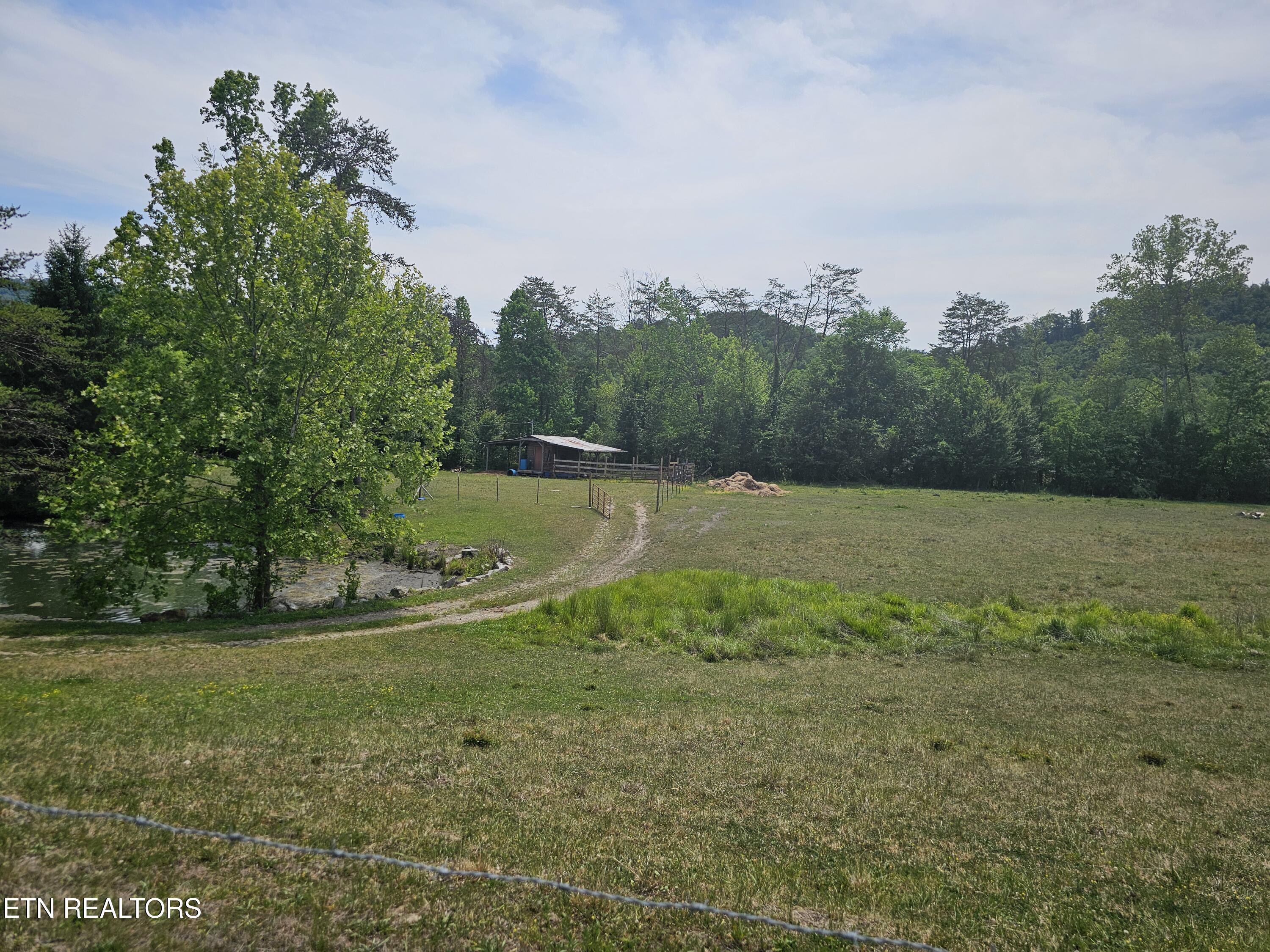 275 Republican Hill Road Newcomb, TN 37819 - Photo 5 of 34 Road to Shed