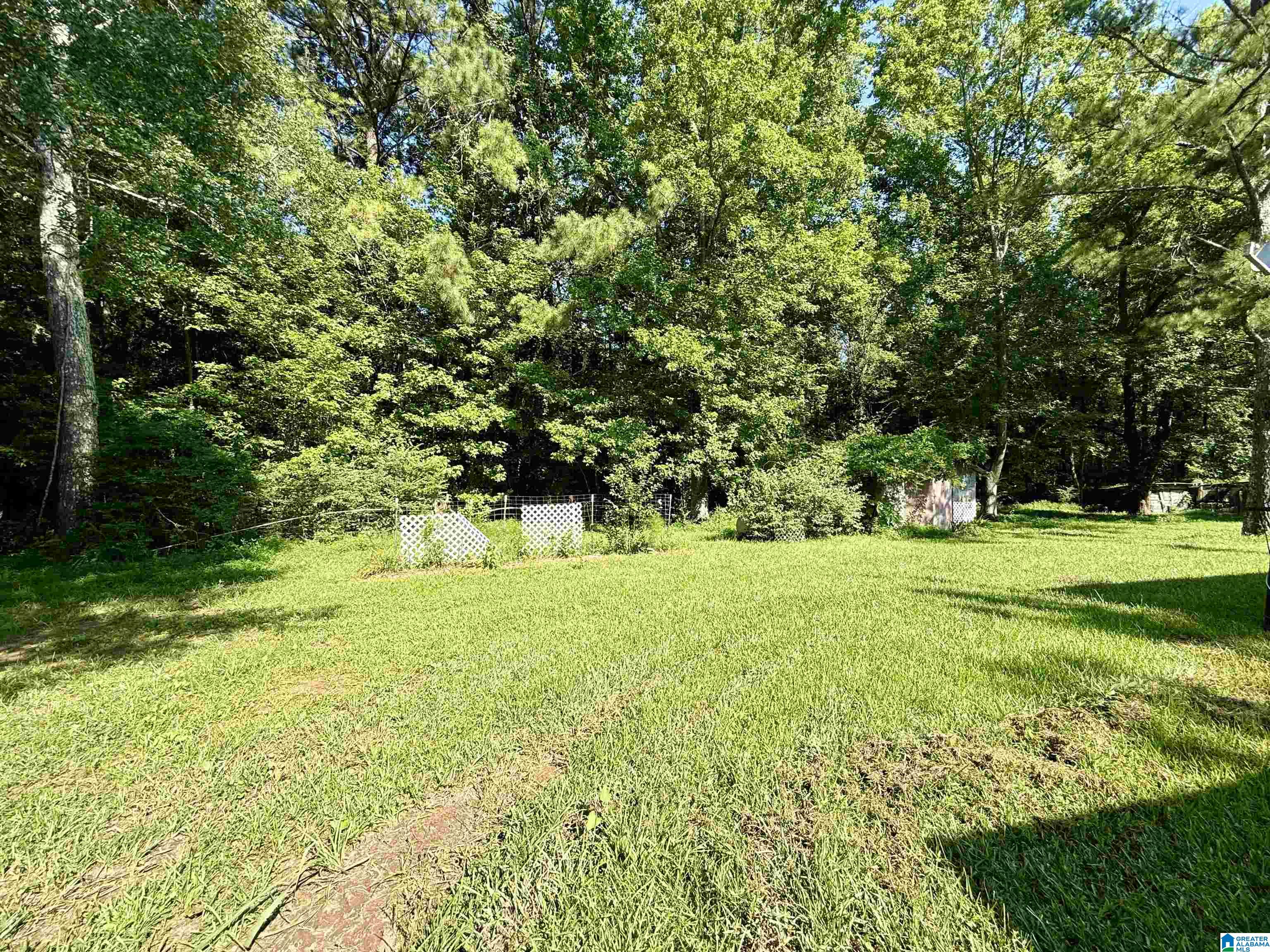 544 Landfill Road Ashland, AL 36251 - Photo 37 of 43