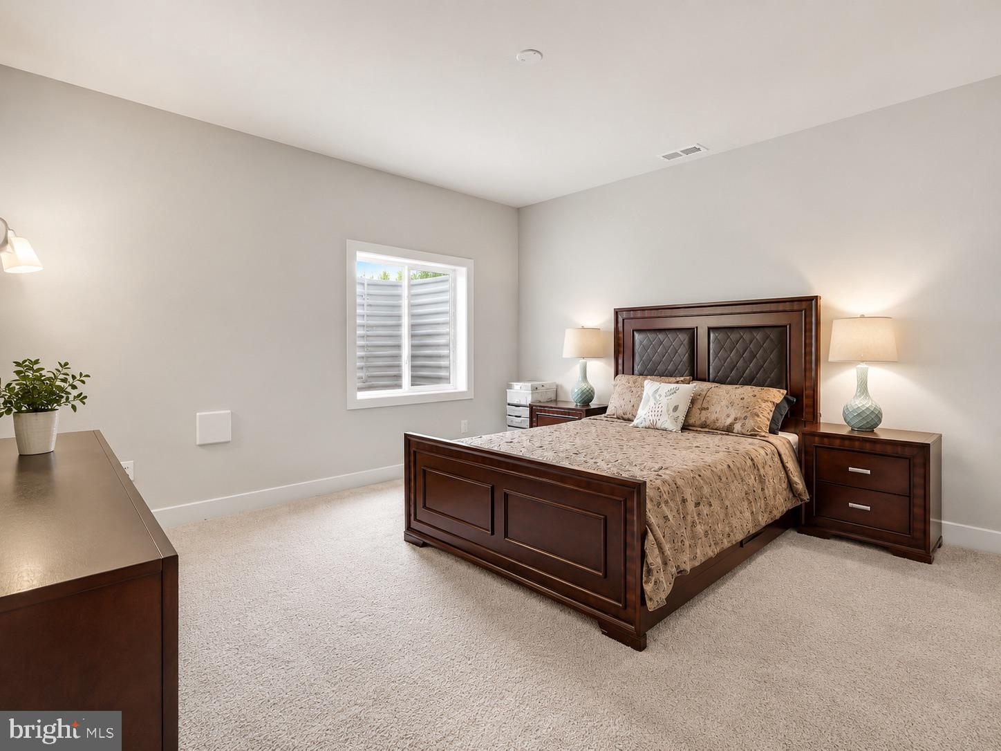 23609 Roselle Ridge Lane Aldie, VA 20105 - Photo 59 of 75 Serene bedroom with natural light.