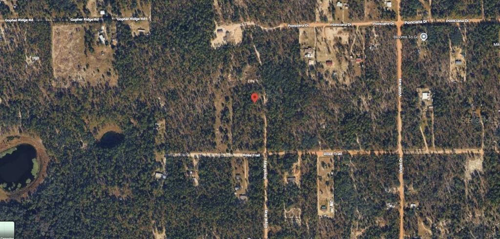 Royal Way Interlachen, FL 32148 - Photo 3 of 5