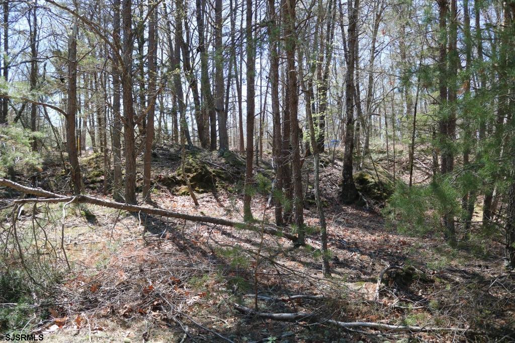 351 Shaws Mill Road Newport, NJ 08345 - Photo 7 of 84