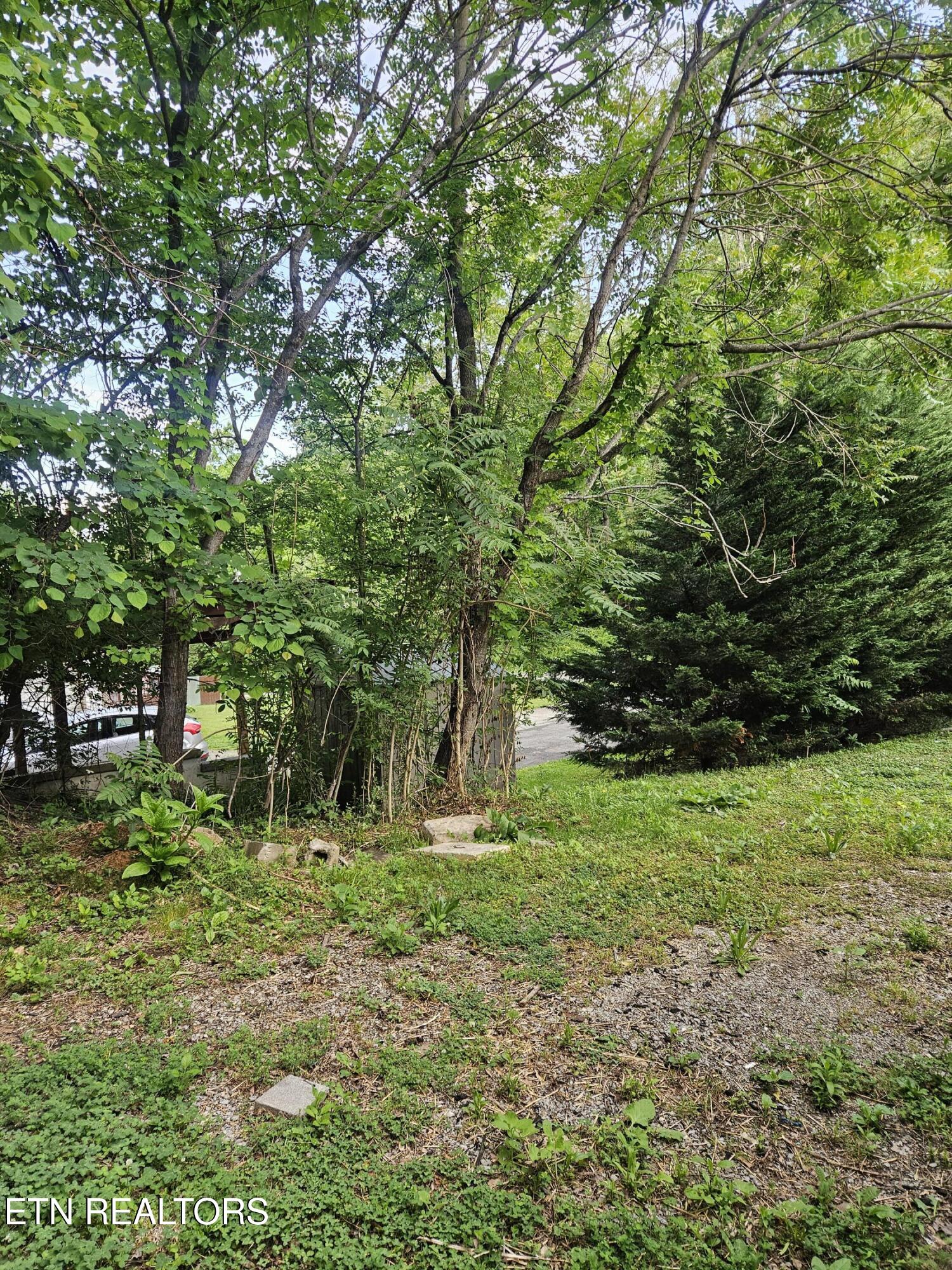 240 Henderson Hollow Road Knoxville, TN 37931 - Photo 3 of 9 henderson hollow side yard