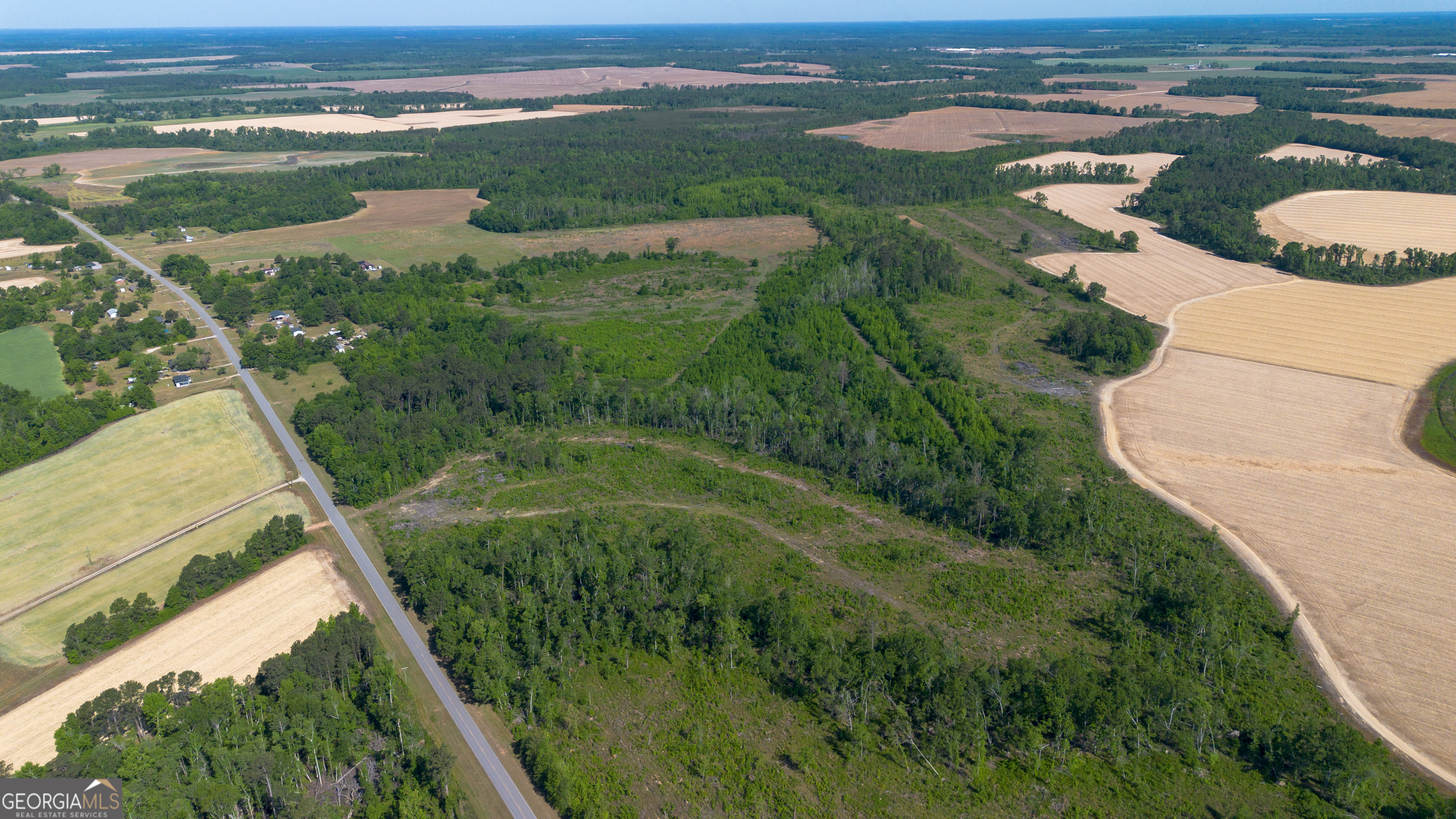 0 Scotts Store Road Millen, GA 30442 - Photo 7 of 12