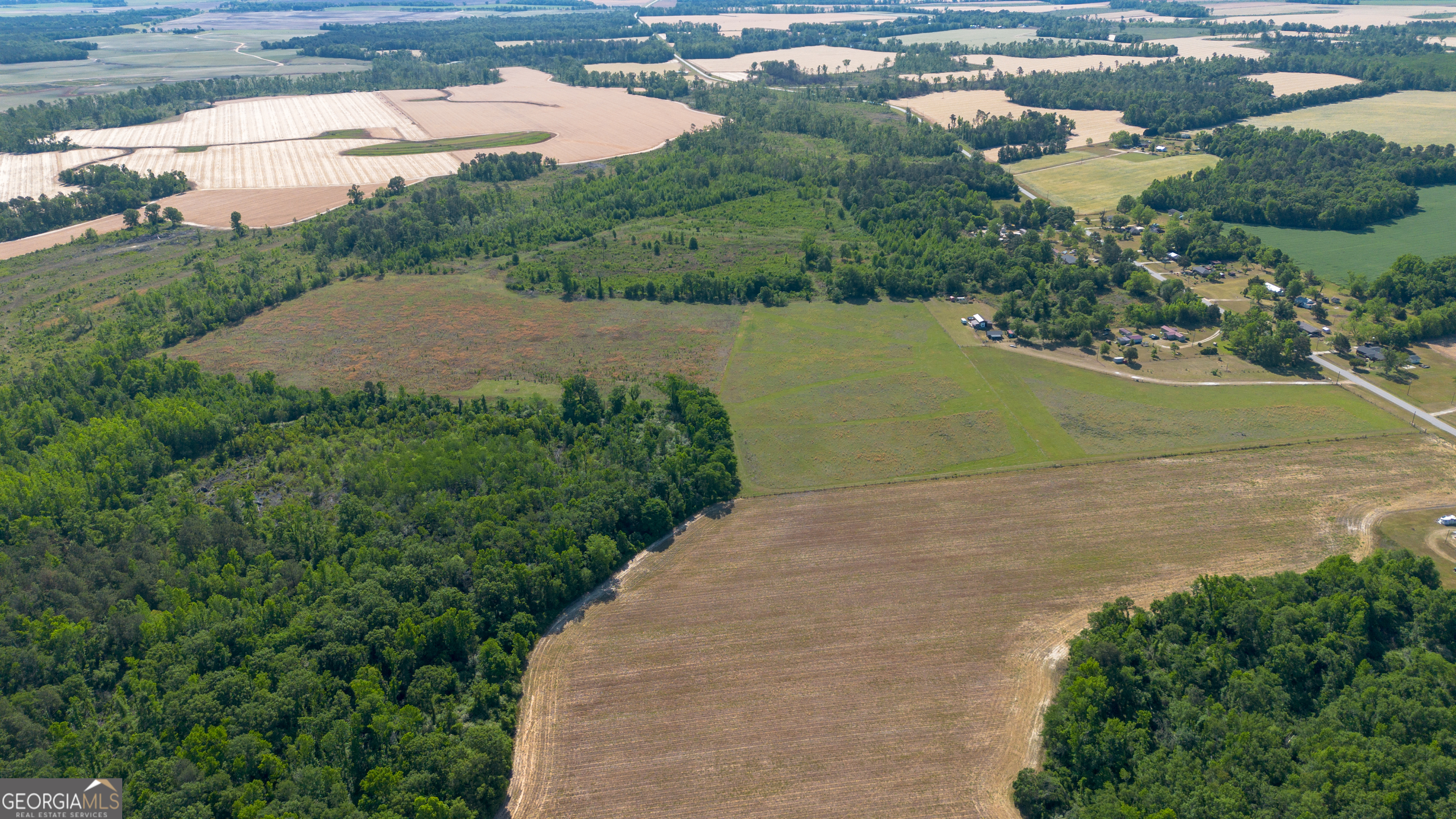 0 Scotts Store Road Millen, GA 30442 - Photo 9 of 12