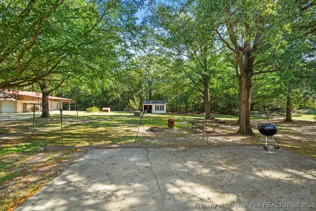 a view of a park with large trees