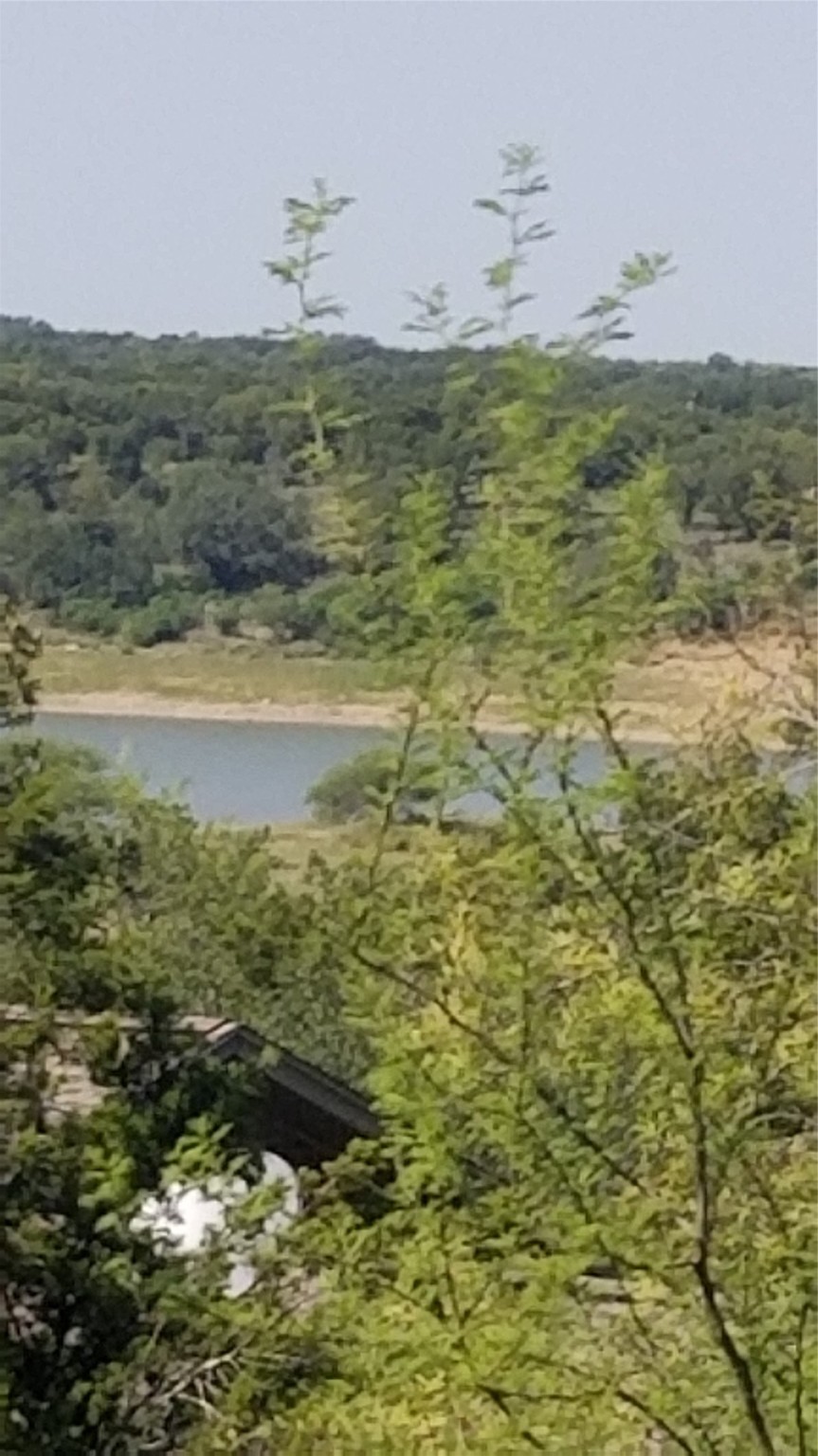 1033 Coventry Road Spicewood, TX 78669 - Photo 2 of 13 a view of ocean view