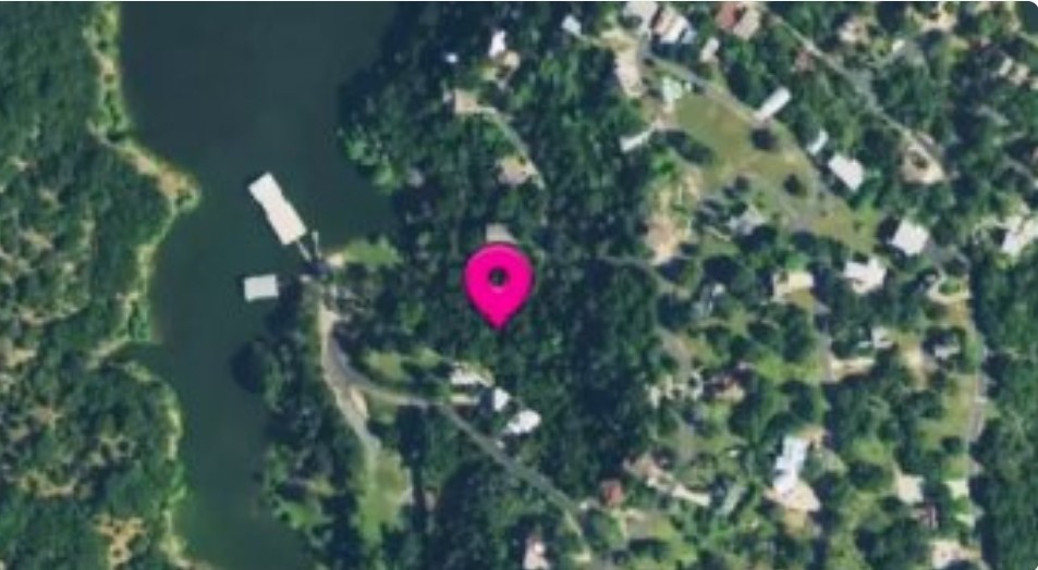 1033 Coventry Road Spicewood, TX 78669 - Photo 3 of 13 a view of a tree