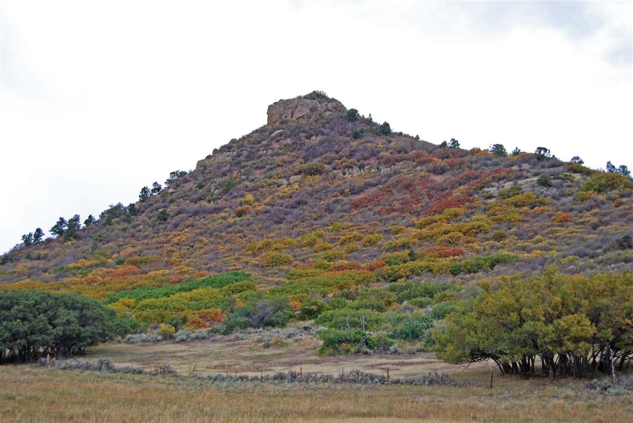 60892-me 60892-me R Road Collbran, CO 81624 - Photo 16 of 20 Gallery Image 16