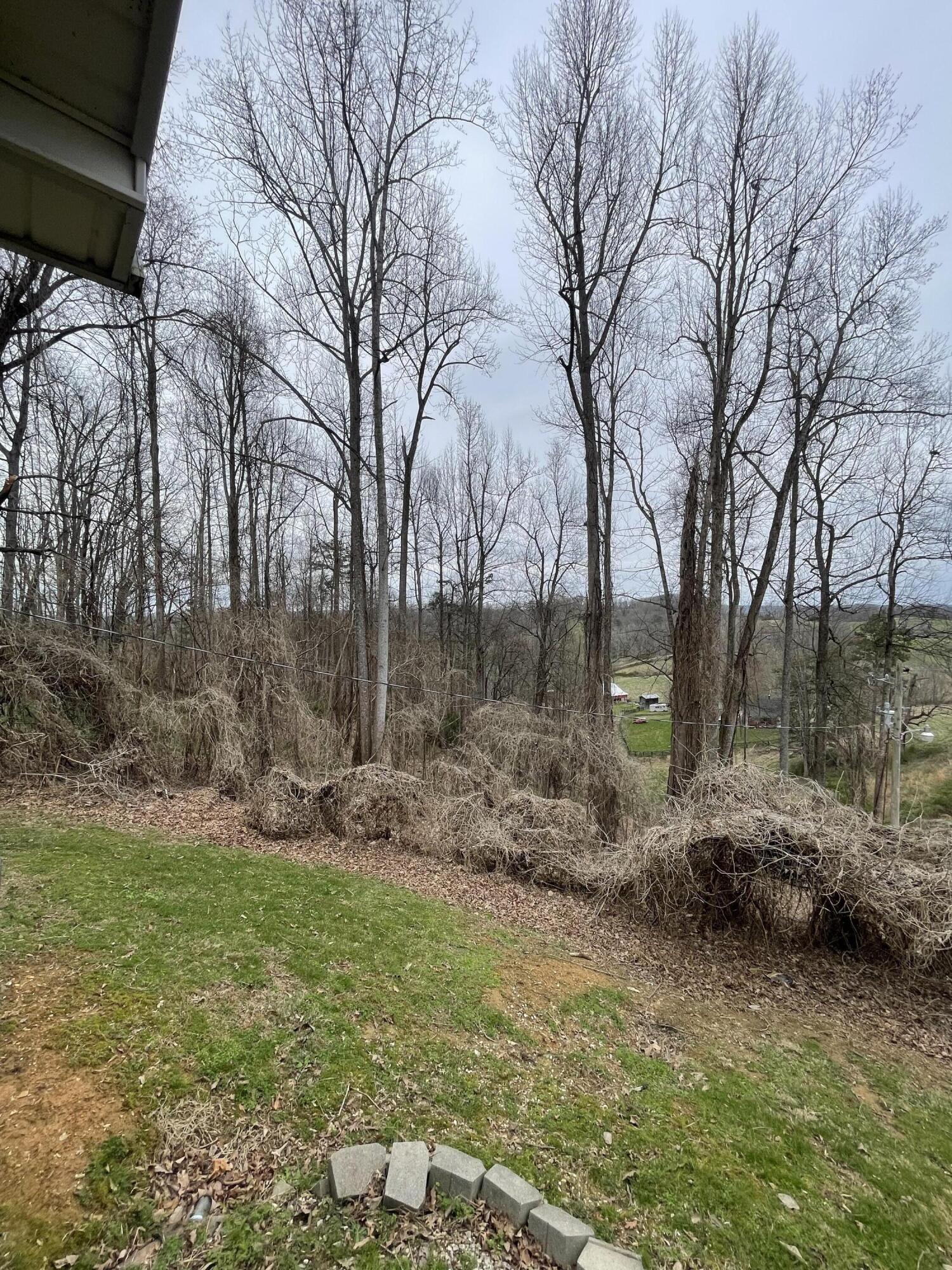 974 Burnett Road London, KY 40744 - Photo 29 of 32 IMG_3305