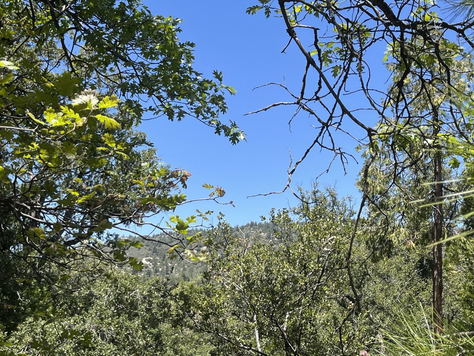 Middle Ridge Idyllwild, CA 92549 - Photo 4 of 15 Untitled