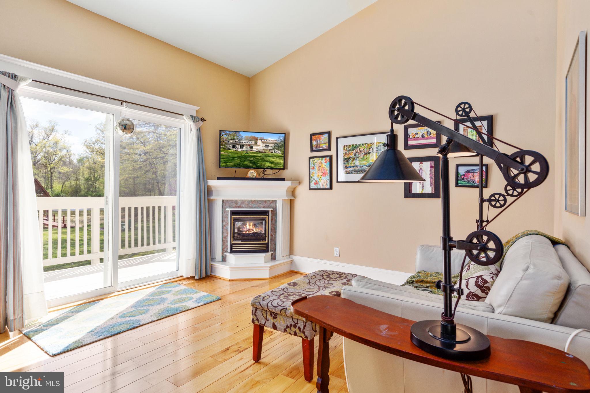 33611 Austin Grove Road Bluemont, VA 20135 - Photo 28 of 38 Owner's suite sitting room with gas fireplace