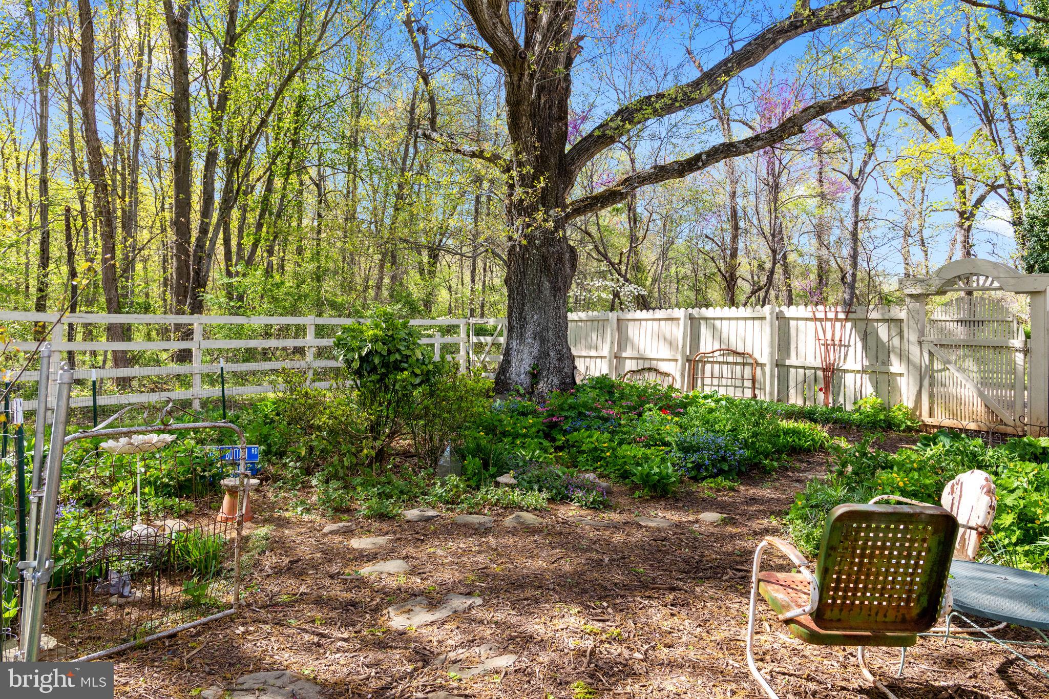 33611 Austin Grove Road Bluemont, VA 20135 - Photo 6 of 38 Rejuvenating shade garden