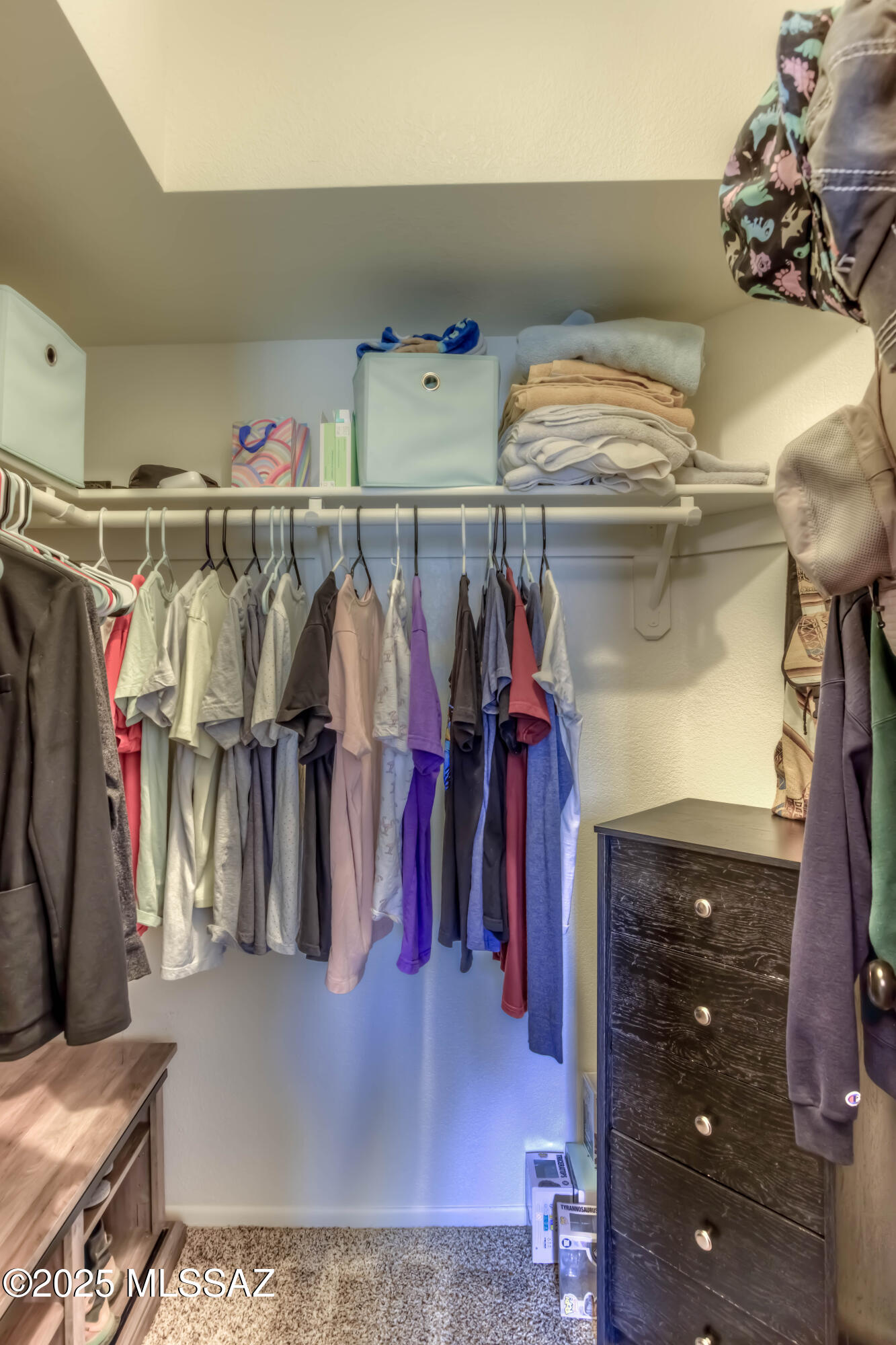 3690 North Country Club Road, Unit 1010 Tucson, AZ 85716 - Photo 19 of 21 26 Bedroom 2 Closet