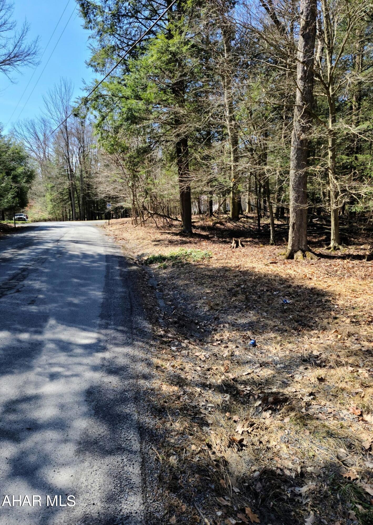 300 Kibler Lake Road Flinton, PA 16640 - Photo 2 of 4