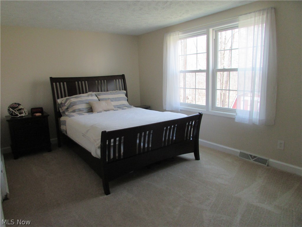 16430 Snow Road Chagrin Falls, OH 44023 - Photo 11 of 20