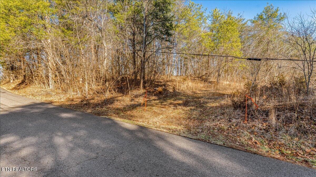 7820 Swaggerty Road Knoxville, TN 37920 - Photo 2 of 24 Gallery Image 2