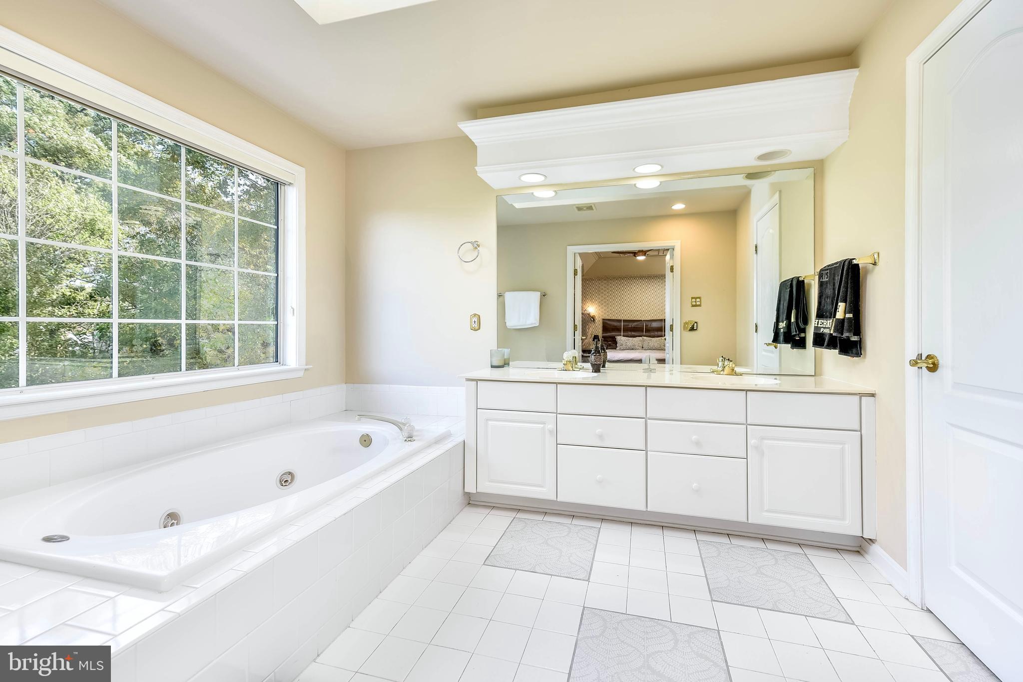 20870 Trinity Square Sterling, VA 20165 - Photo 20 of 36 PRIMARY SPA BATHROOM