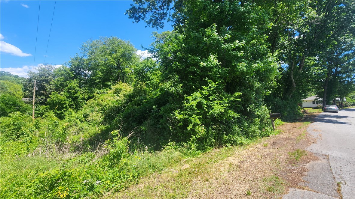 404 Azalea Drive Anderson, SC 29625 - Photo 2 of 4 This verdant lot offers abundant greenery, creating a peaceful and private setting.