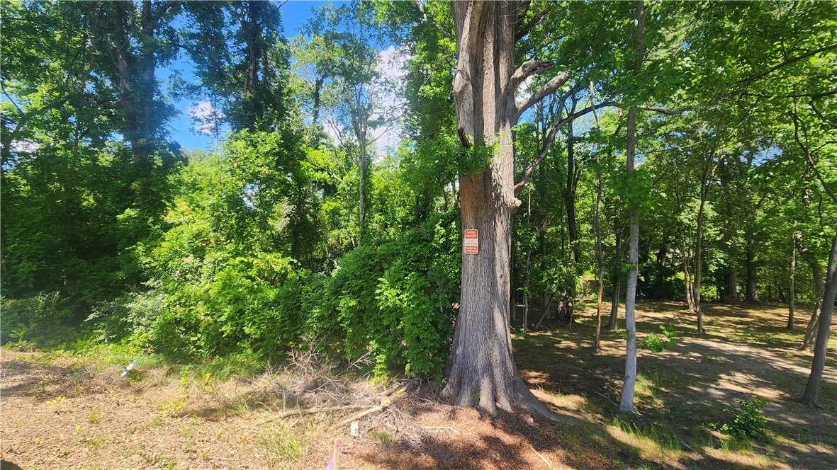 404 Azalea Drive Anderson, SC 29625 - Photo 3 of 4 A tranquil lot with mature trees, offering a serene backdrop for future possibilities.