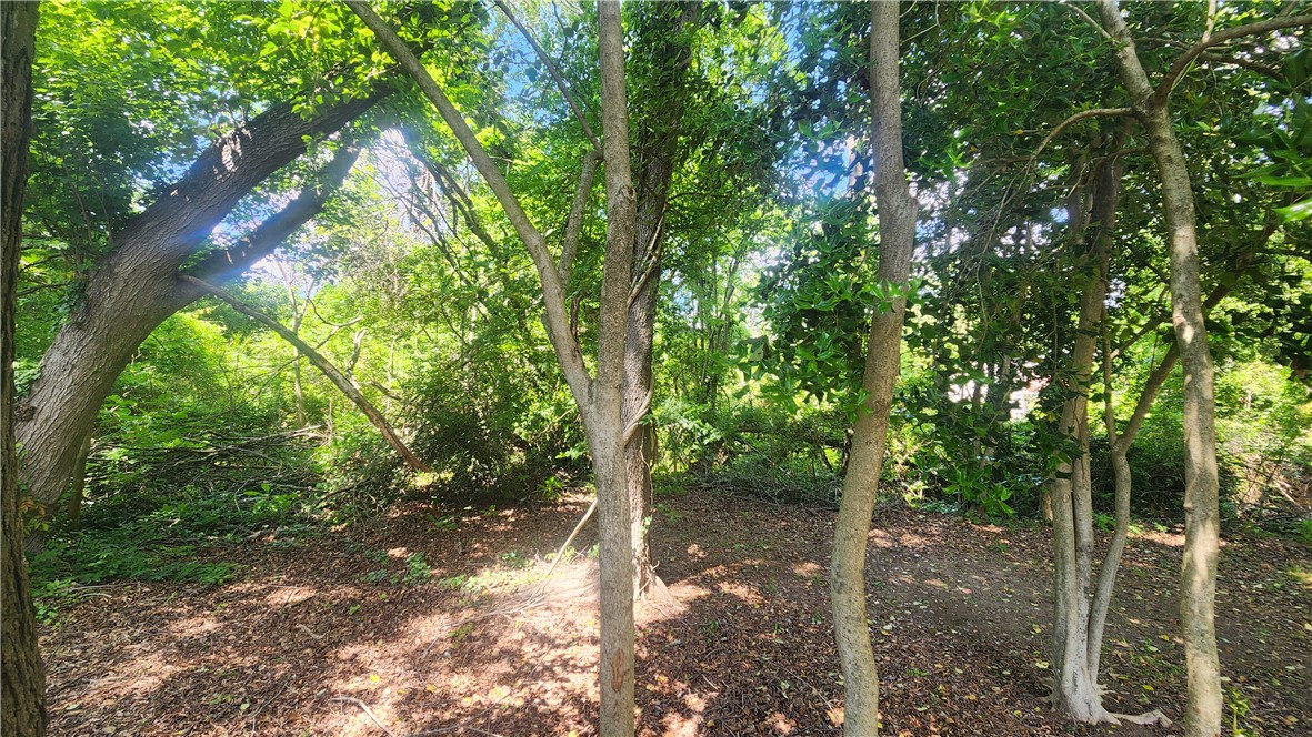 404 Azalea Drive Anderson, SC 29625 - Photo 4 of 4 This tranquil wooded lot offers a private, natural setting for your future home.