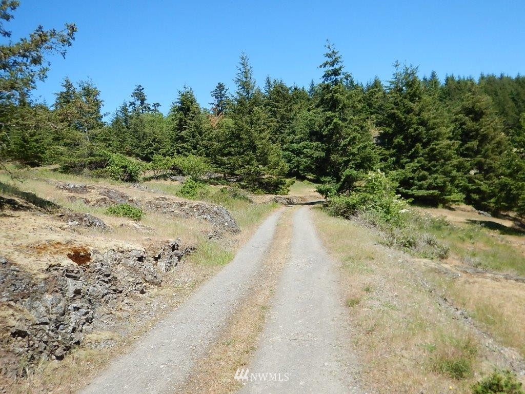 0 Mt Dallas Road Friday Harbor, WA 98250 - Photo 14 of 16 Gallery Image 14