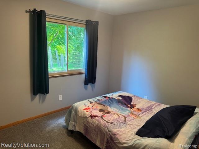 1702 Birch Road Attica, MI 48412 - Photo 24 of 38