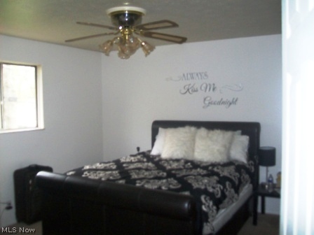 4193 New Road Austintown, OH 44515 - Photo 13 of 24