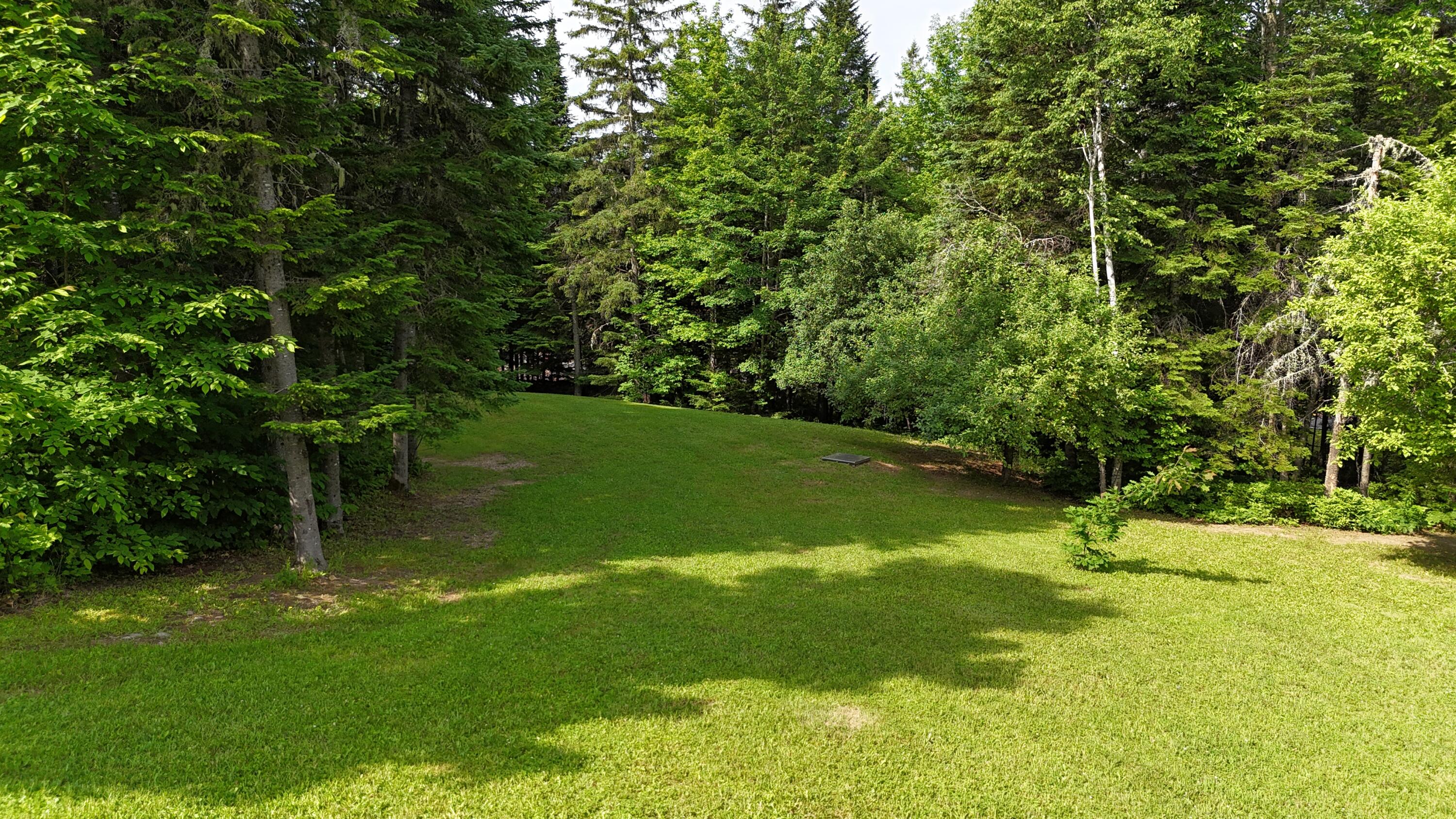 3844 West Chapman Road Chapman, ME 04757 - Photo 18 of 29 DJI_20260703093949_0031_D