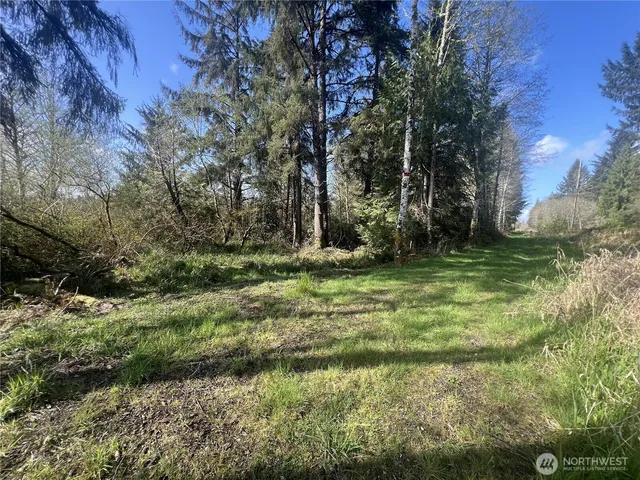 $25,000 | 0 3rd Street, Cosmopolis, WA 98537