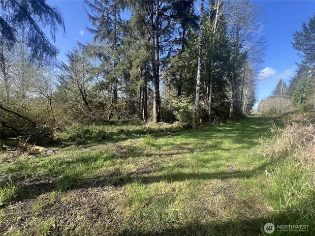 $25,000 | 0 3rd Street, Cosmopolis, WA 98537