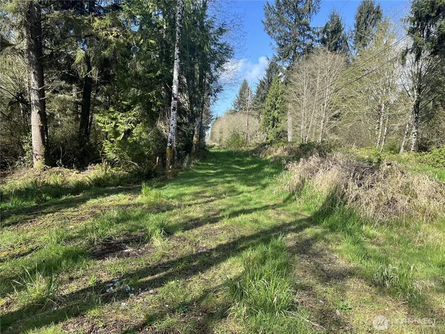 $25,000 | 0 3rd Street, Cosmopolis, WA 98537