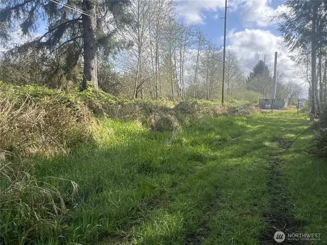 $25,000 | 0 3rd Street, Cosmopolis, WA 98537