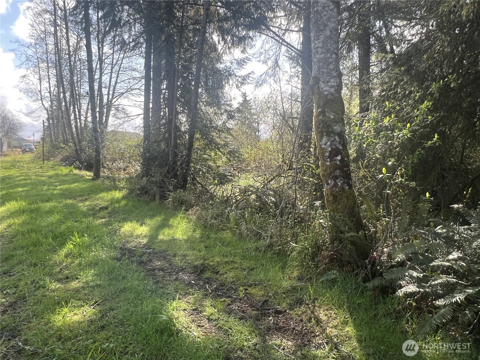 0 3rd Street Cosmopolis, WA 98537 - Photo 6 of 8