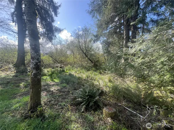 $25,000 | 0 3rd Street, Cosmopolis, WA 98537