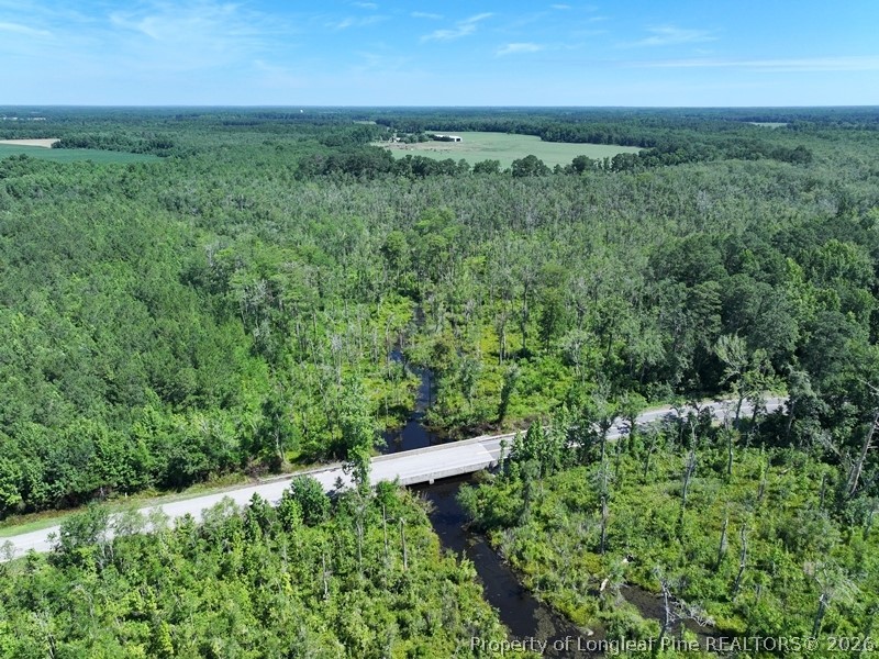 Yarborough Road Parkton, NC 28371 - Photo 8 of 13