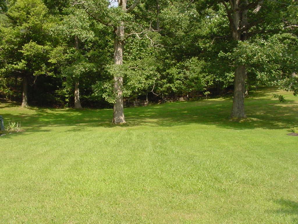 4989 Keffer Road Catawba, VA 24070 - Photo 3 of 7 BACK YARD