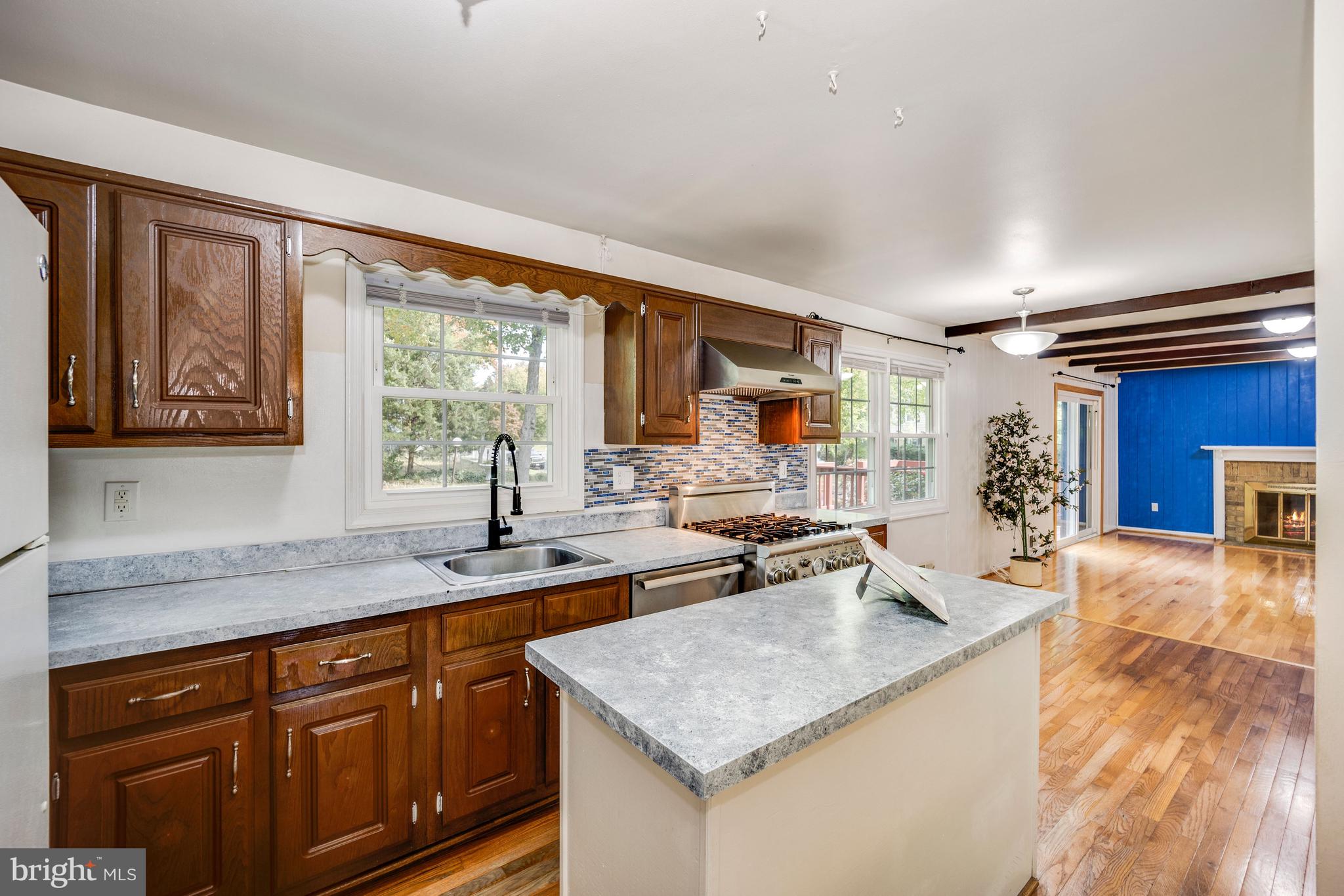 9110 Ivanhoe Road Fort Washington, MD 20744 - Photo 19 of 57 Gourmet kitchen w/ new faucet & refinished counter