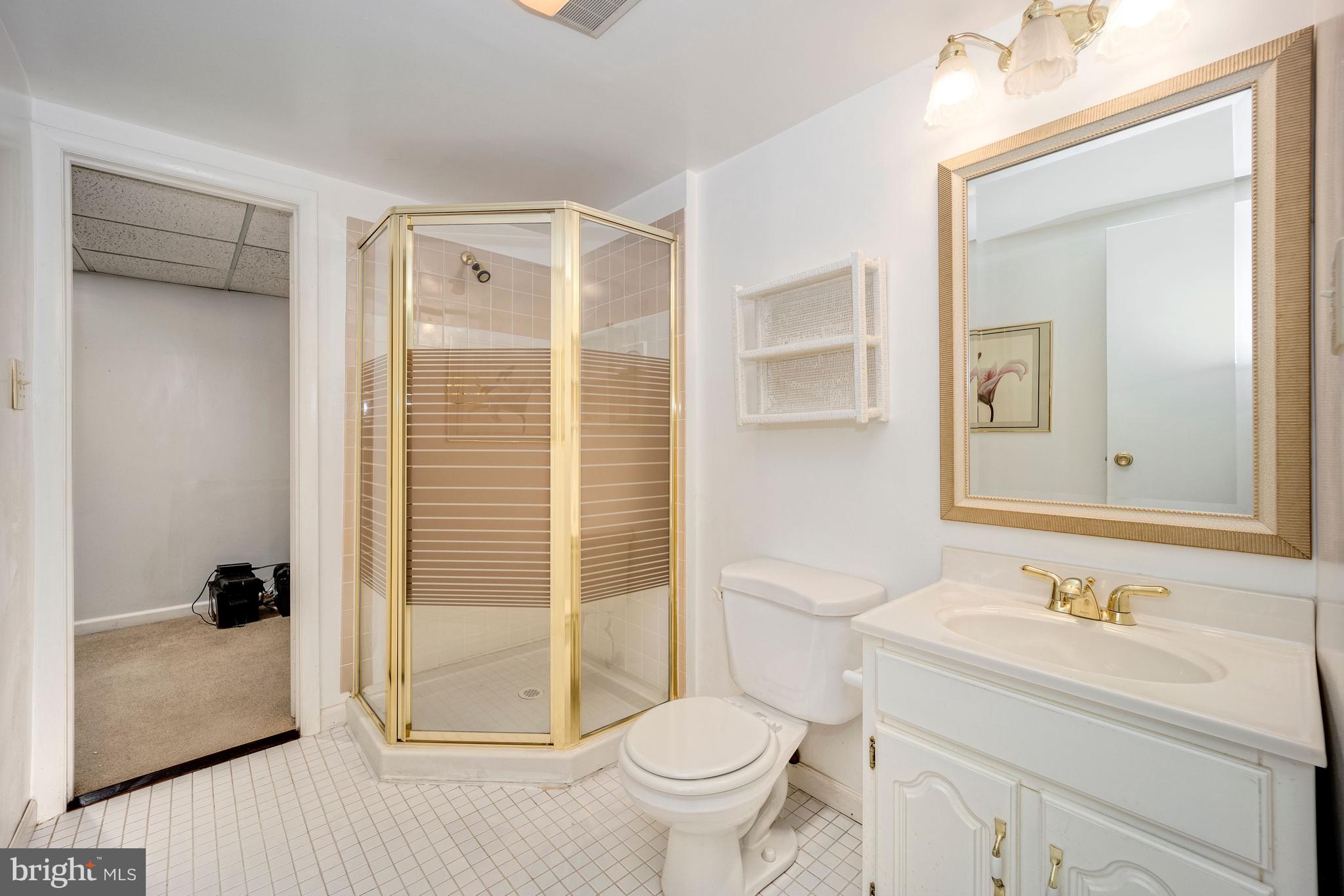 9110 Ivanhoe Road Fort Washington, MD 20744 - Photo 39 of 57 Full Bthrm 3 in bsmnt