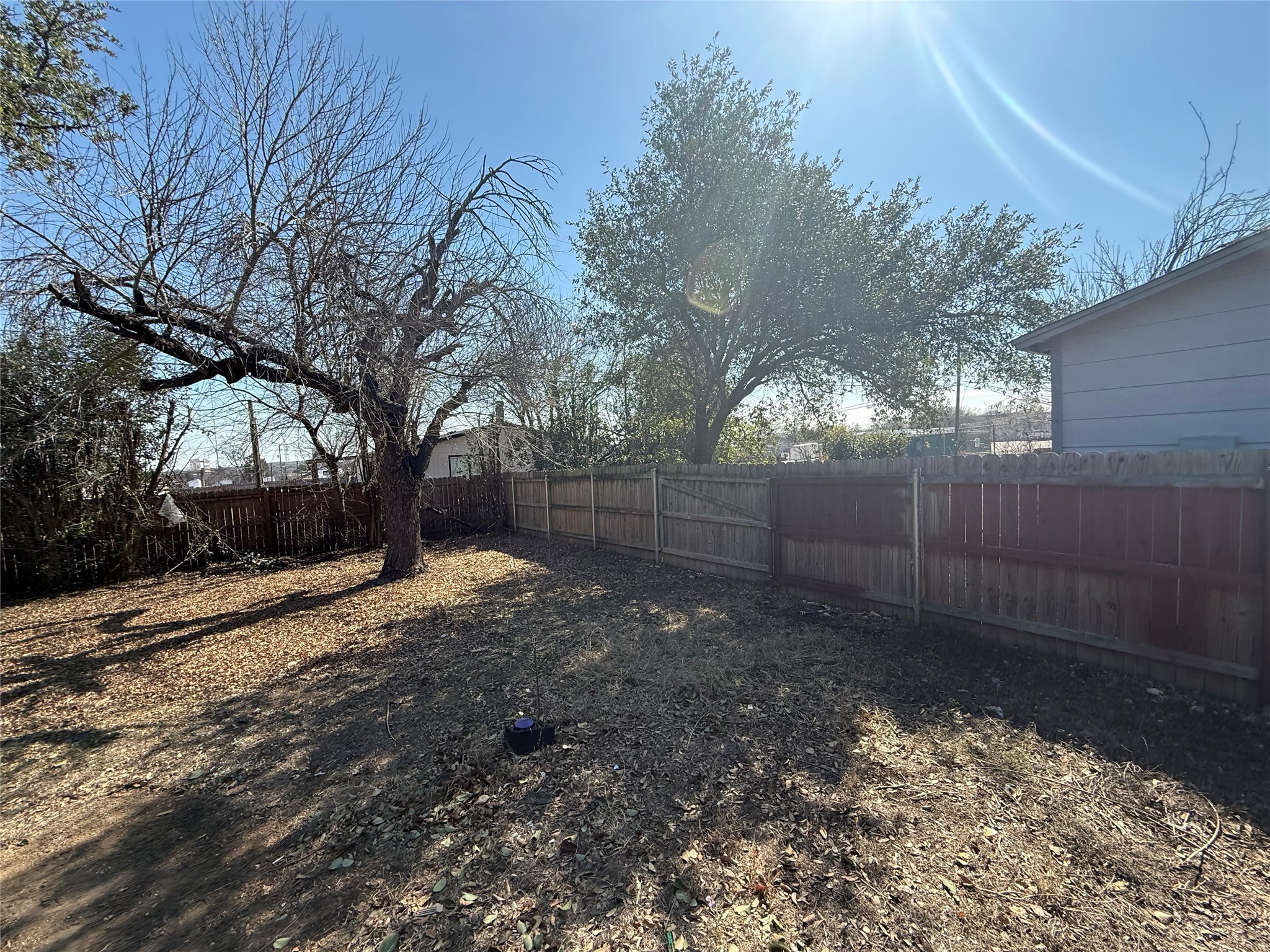 15501 Connie Street Austin, TX 78728 - Photo 2 of 26 View of fenced backyard