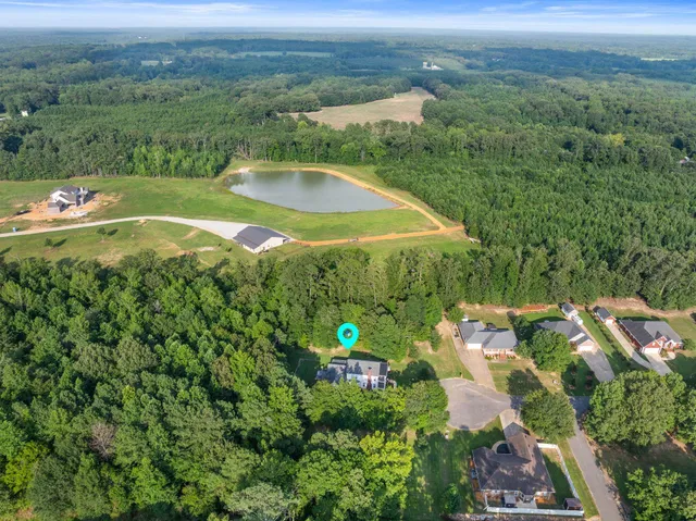 an aerial view of a house with pool plants and large trees