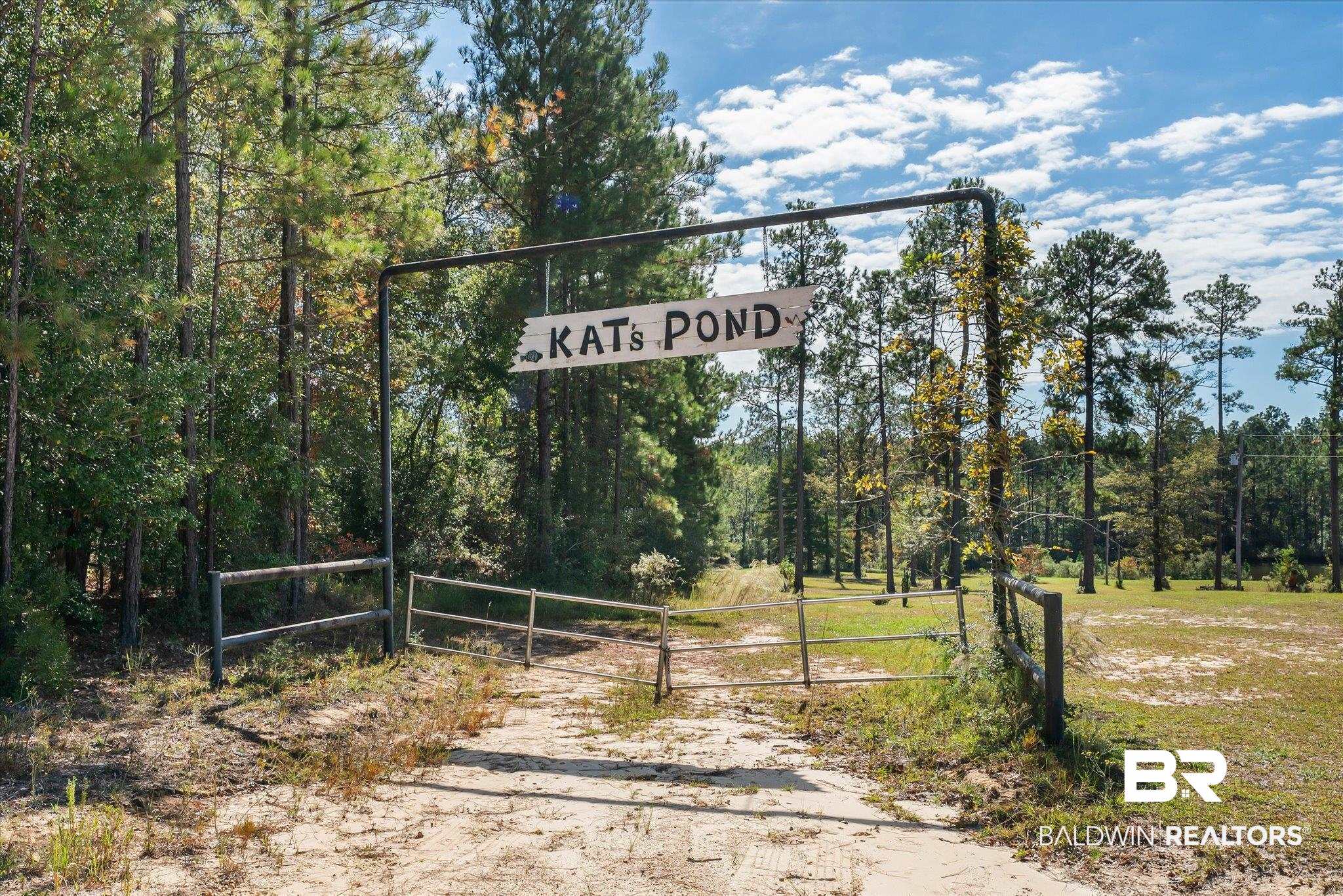 890 Jelks Road Wagarville, AL 36585 - Photo 36 of 50