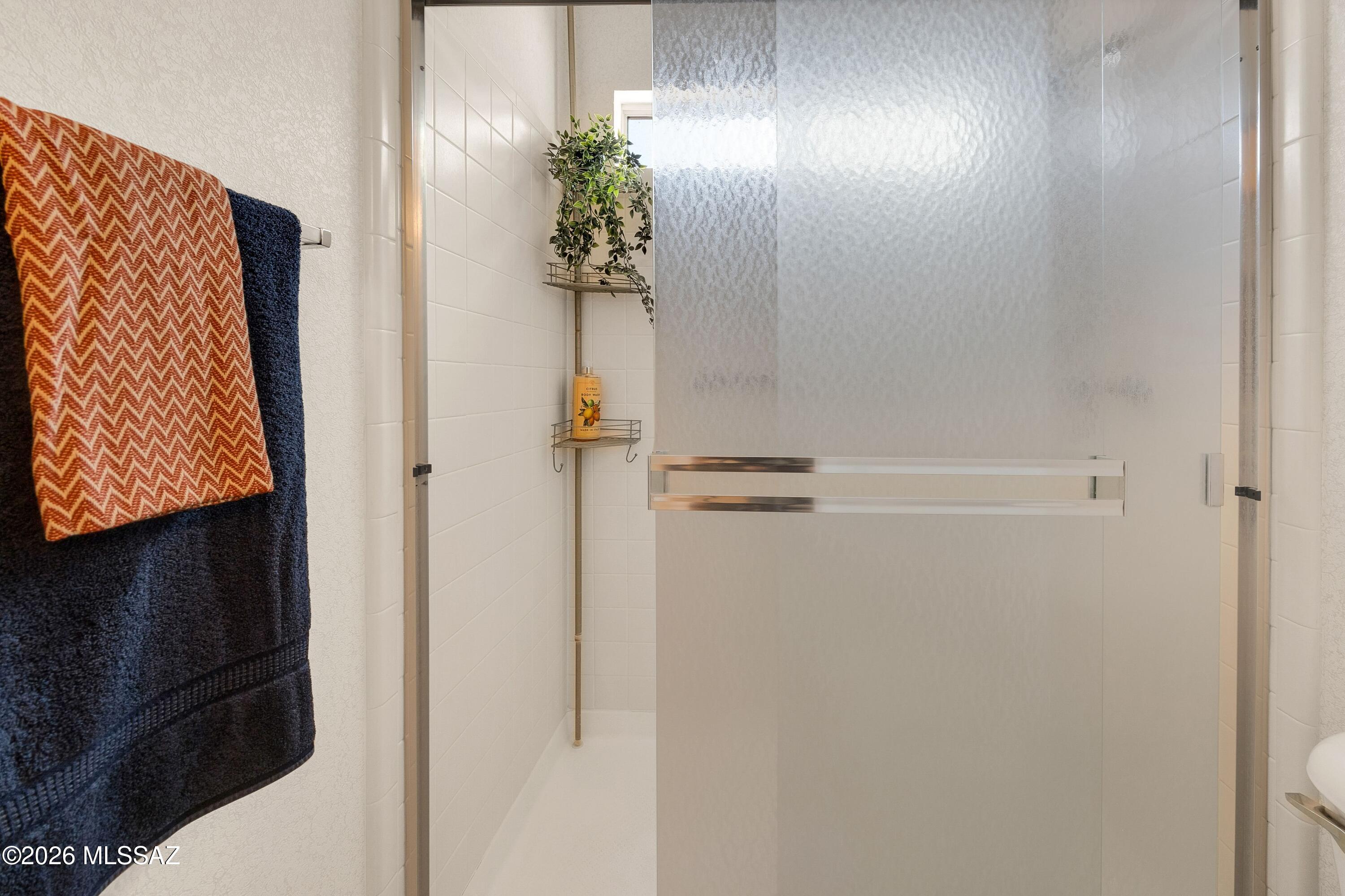 36925 South Ridgeview Boulevard Tucson, AZ 85739 - Photo 34 of 50 Walk in Shower