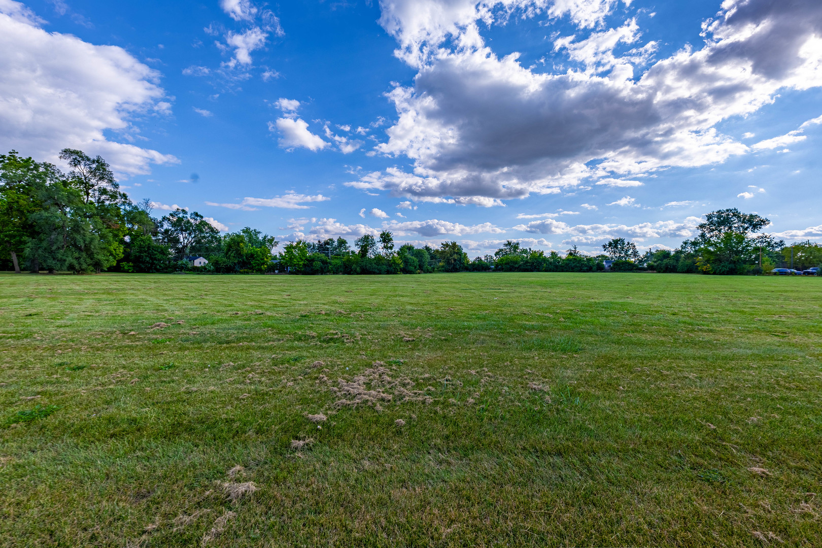 255 West Romeo Road Romeoville, IL 60446 - Photo 3 of 7 a view of a big yard with lots of green space
