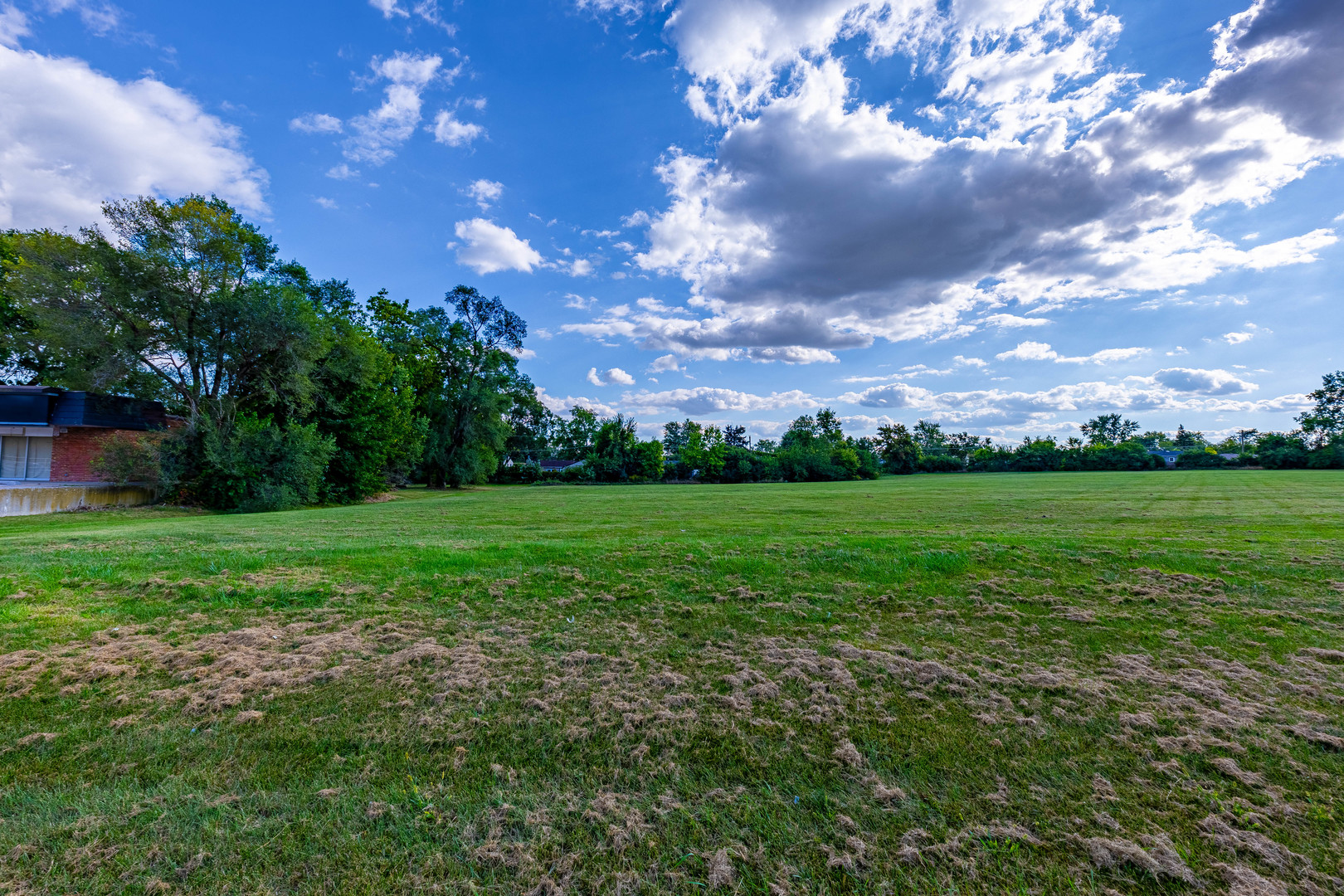 255 West Romeo Road Romeoville, IL 60446 - Photo 4 of 7 a view of a big yard with plants and a large tree