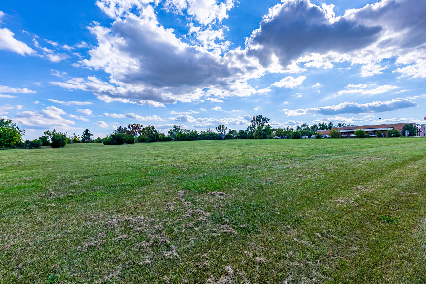 255 West Romeo Road Romeoville, IL 60446 - Photo 5 of 7 a view of a big yard with plants and large trees