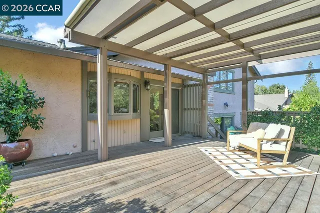 a view of a backyard with plants and a lawn chair