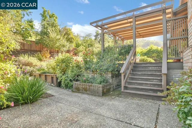 a view of a plants with a tree