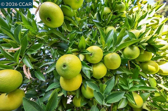 an aerial view of a houses