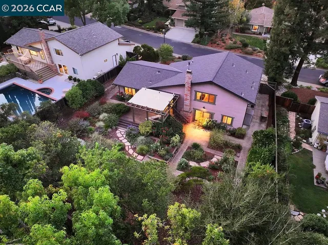 a view of a bunch of flowers