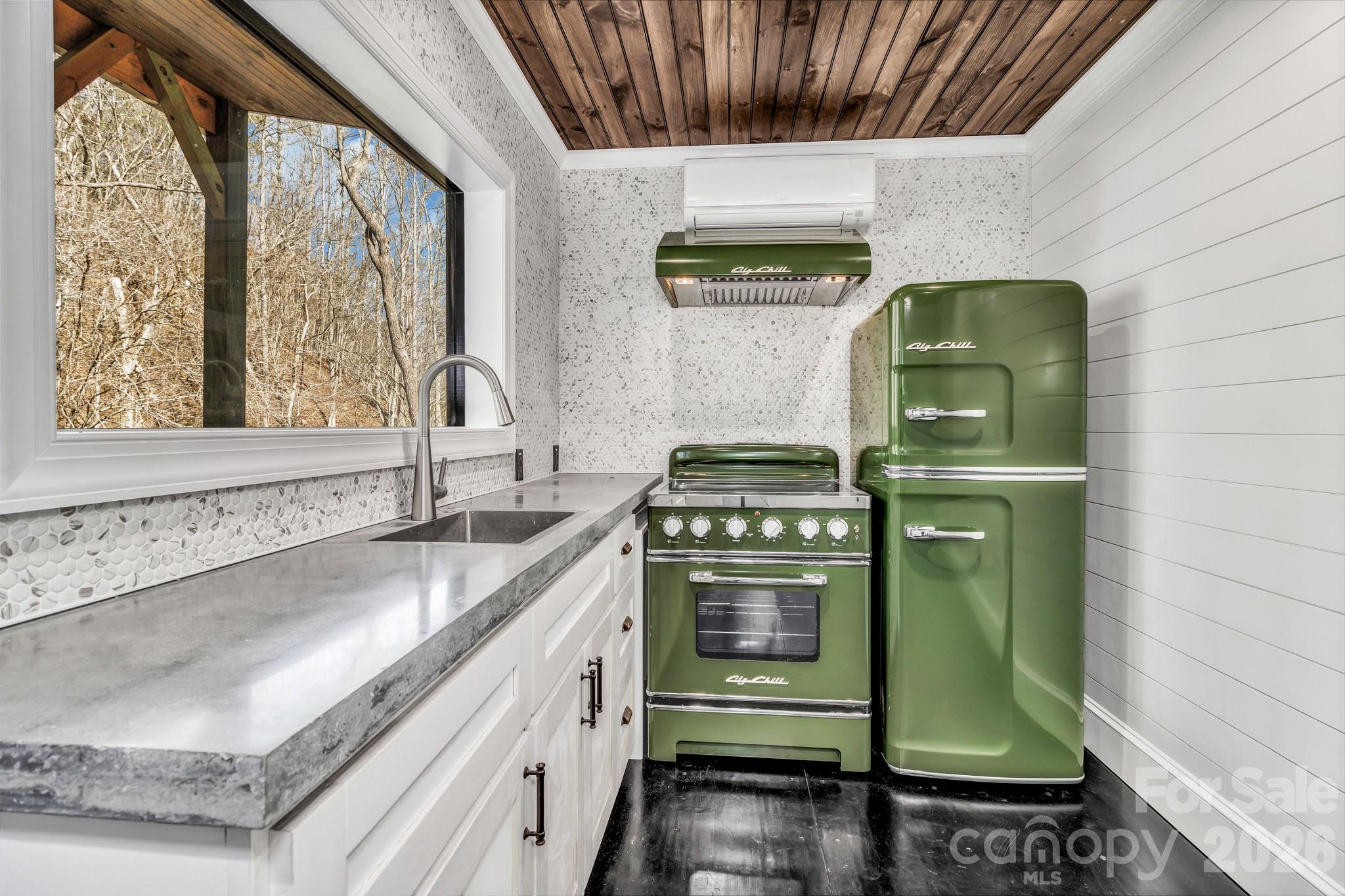 1115 Paint Rock Road Hot Springs, NC 28743 - Photo 9 of 24